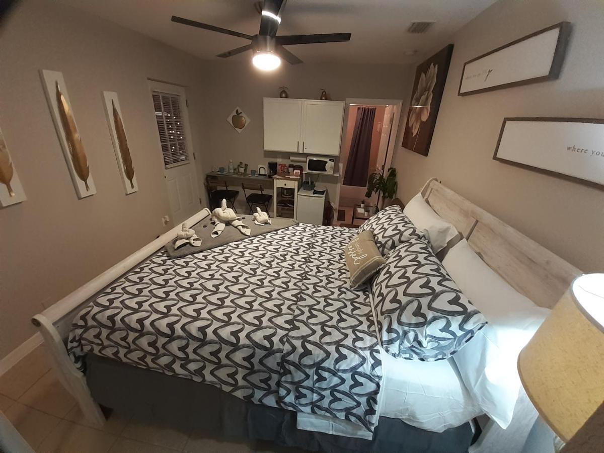 Luxurious Cozy Studio. 坦帕 外观 照片